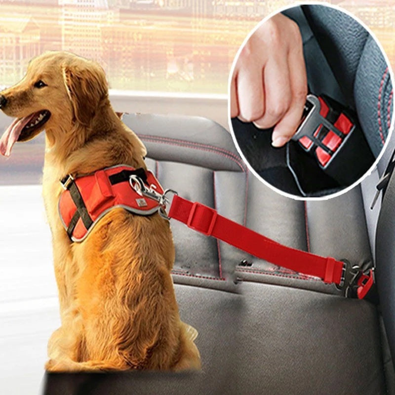 Adjustable Pet Car Seat Belt with Harness Clip – Safety Lead for Dogs & Cats