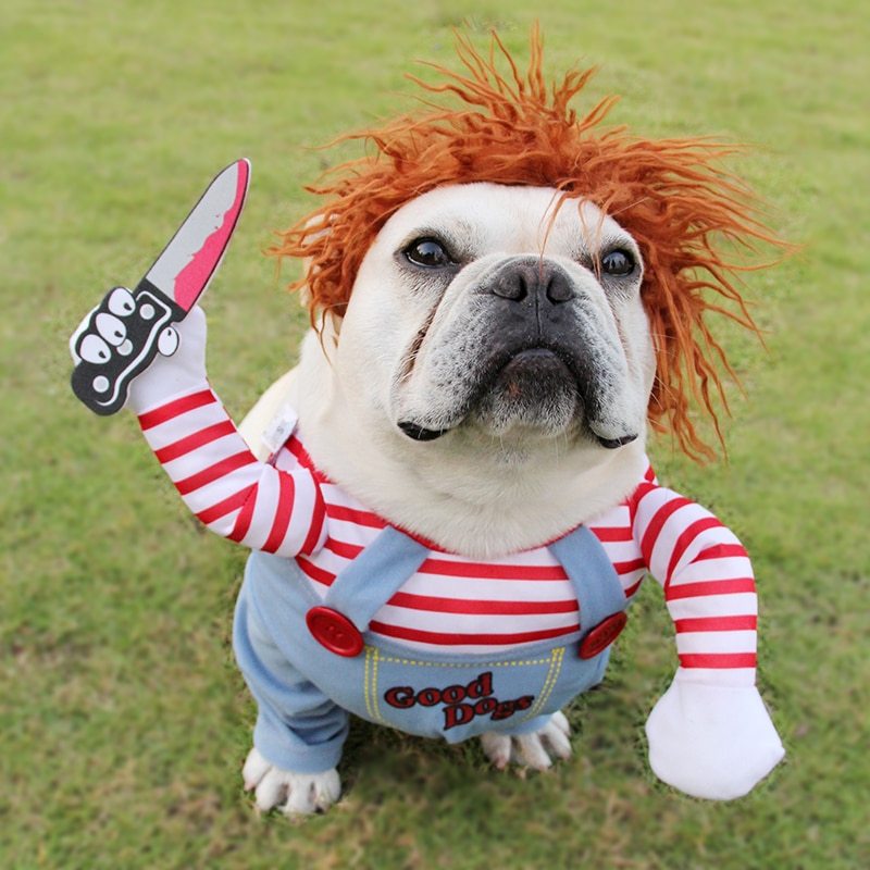 Halloween Dog Costume – Funny & Adjustable Pet Outfit for Parties