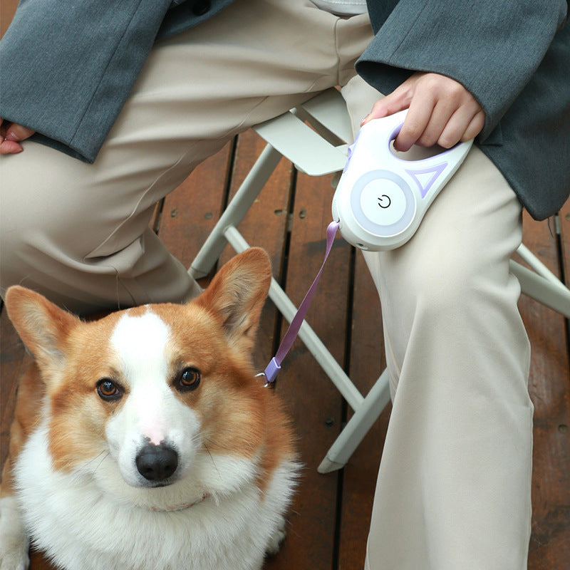 Retractable Dog Leash & Collar Set – Automatic Traction Rope for Small & Medium Pets