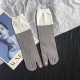 Thin Pure Cotton Japanese Style Cartoon Toe Socks