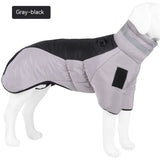 New Winter Dog Coat – Waterproof, Warm, Thick Vest for Medium & Large Dogs, Labrador Jacket